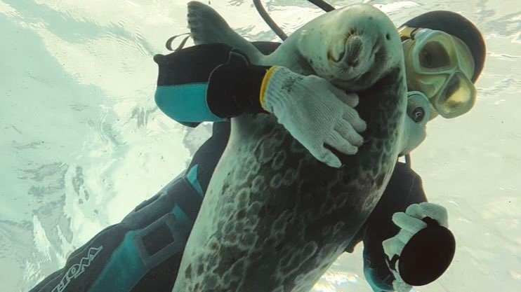 抱えられるまで。その4（提供と撮影：ガッチリカさん）