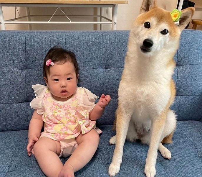 左：りおんちゃん　右：そらちゃん（提供：SORAさん）