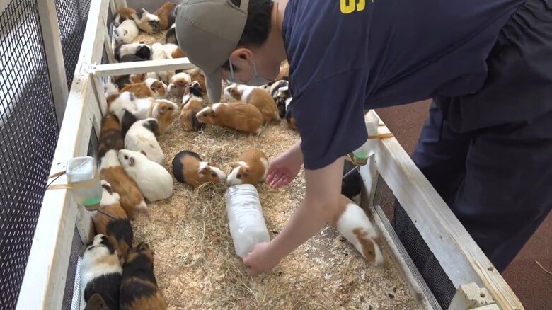 画像提供：公益財団法人東京動物園協会