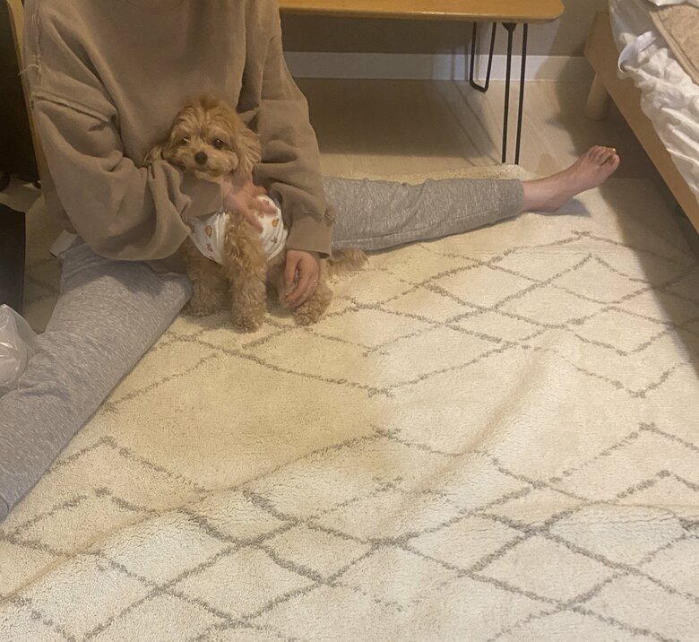 友人にもべったり