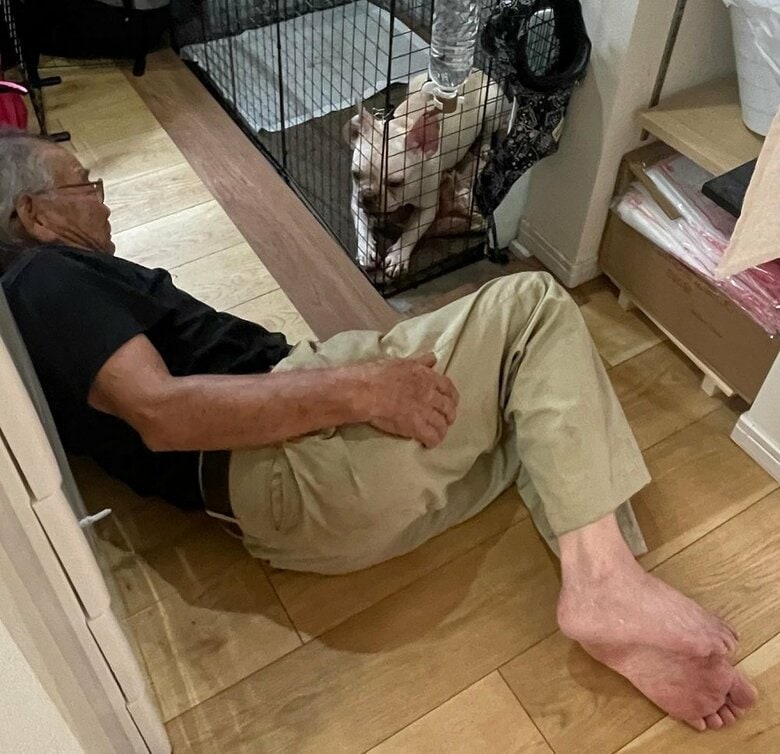 ブン太くんが家に来た初日のおじいちゃん