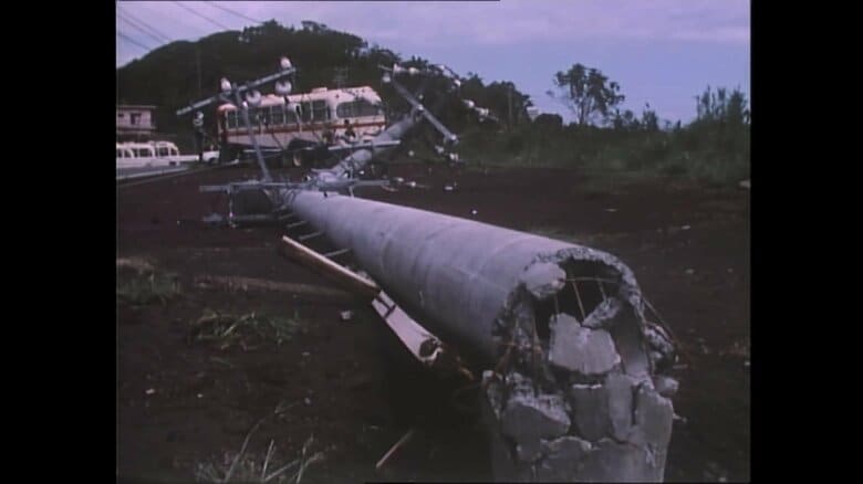 電柱は根元から折れて倒壊（1975年10月、八丈島）