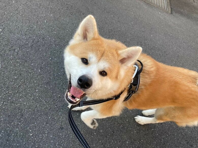 大吉くん