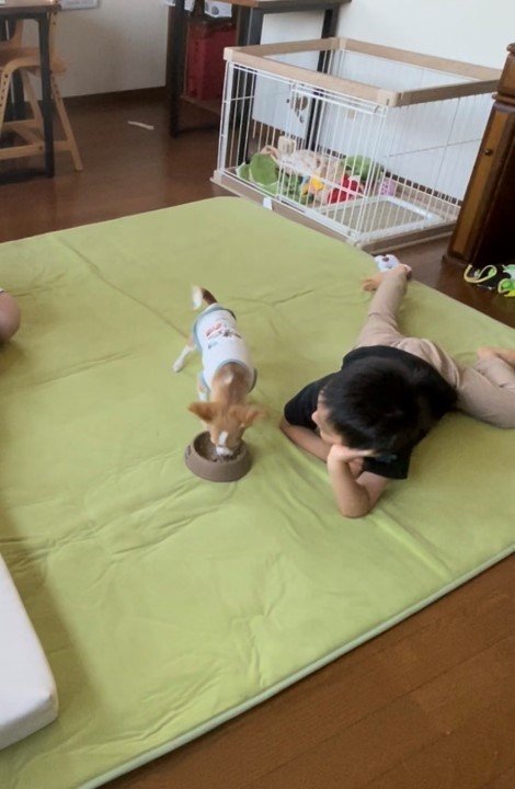 提供：ふくのすけさん