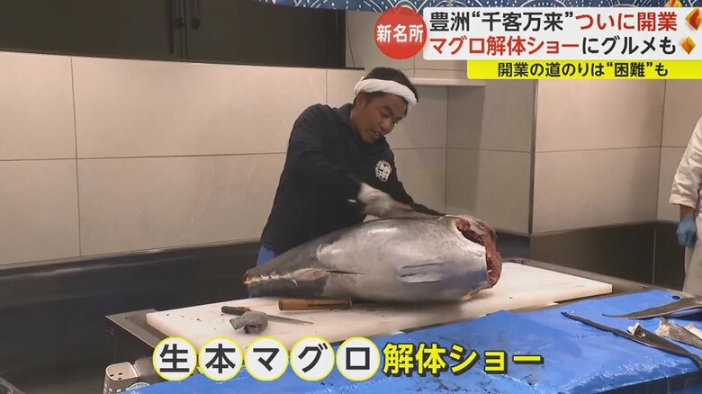 豊洲市場が開いている日に1日1回開催