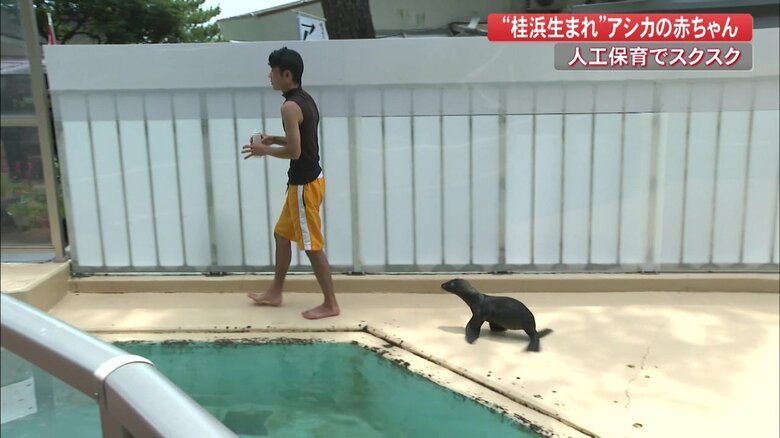 丸野さんの後をついて歩く