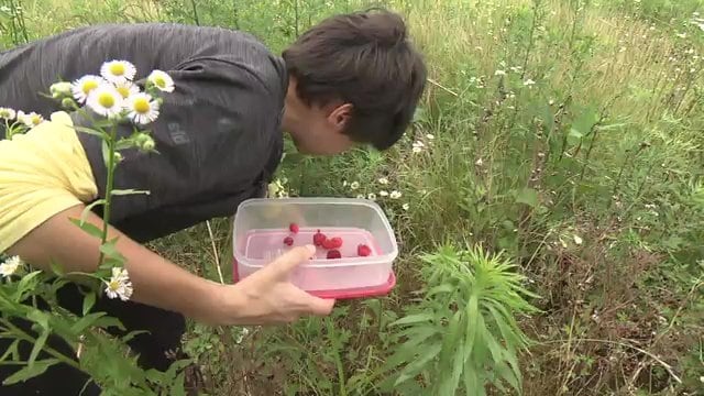 生活で使うエネルギーを減らすことも大事