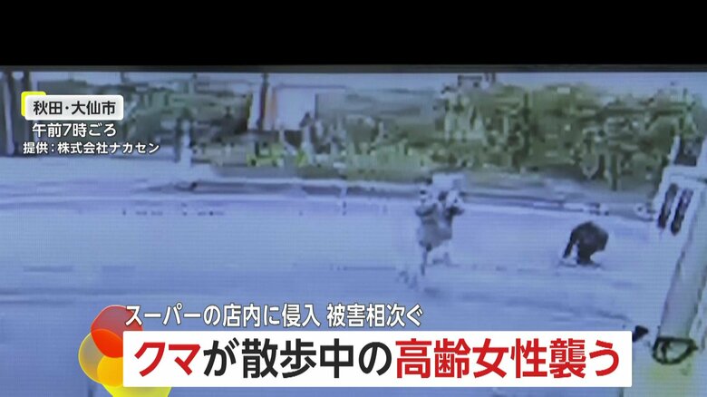 防犯カメラが捉えた、クマが高齢女性に襲いかかる瞬間⑬