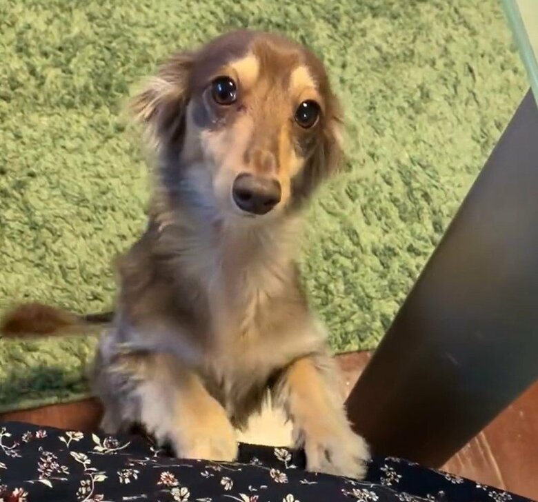 普段は元気いっぱい