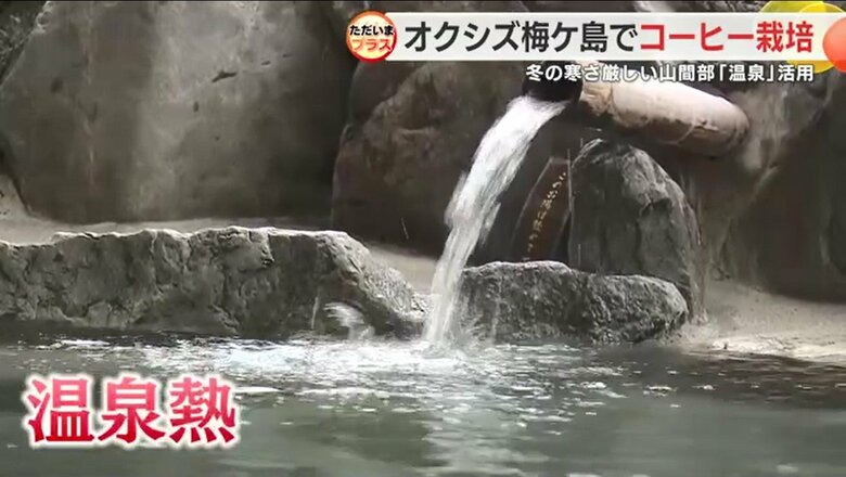 梅ケ島温泉（静岡市葵区）