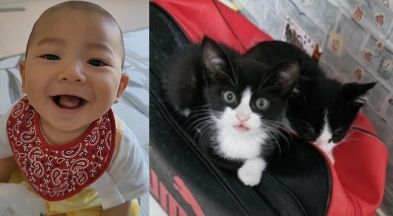 左から蓮慈くん、リヴァイくん、凪くん