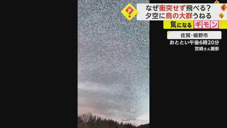 空を覆いつくす“黒いかたまり”