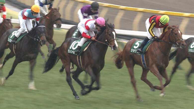 ダノンベルーガ（共同通信杯）