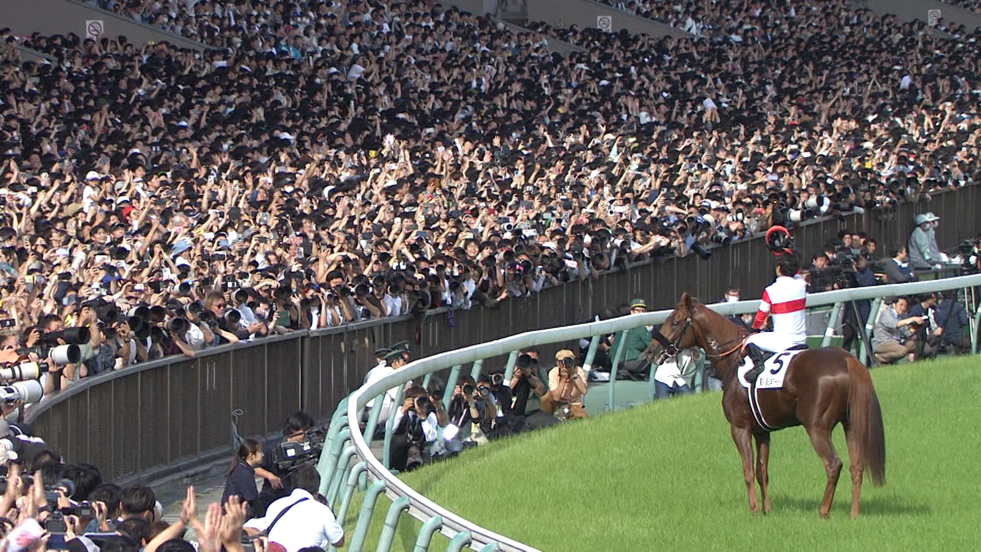 印象のデザイン 日本ダービー・GⅠ】3歳馬7950頭の頂点へ いよいよ生涯一度の夢 スポーツ