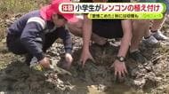 「愛情こめた」　小学生がレンコンの植え付け　秋には収穫も