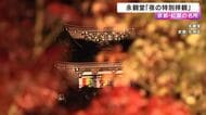 京都・紅葉の名所「永観堂」3000本のもみじがライトアップ　秋の夜の幻想的な光景