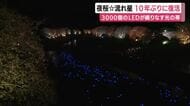 10年ぶりに復活”夜桜☆流れ星”　3000個のLEDが織りなす光の帯　川面を埋め尽くす
