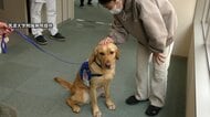 “入院患者に寄り添う”「ファシリティドッグ」導入へ筑波大学附属病院がクラファン　2027年度目指し国立大学病院で初