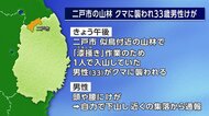 クマに襲われ33歳男性けが、「漆掻き」のため入山　襲ったクマは成獣とみられ付近に子グマの姿も　岩手