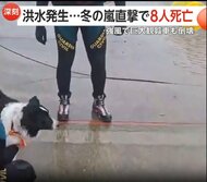 冬の嵐「Kristin」がスペイン直撃　大規模洪水で救助される犬…ポルトガルでは巨大観覧車が倒壊　合わせて8人死亡