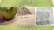 粒を数えて数えて「ひま粒し」! 吉川友、ついに“ひま粒しソング”完成!