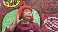 またも中国で…前代未聞の「草間彌生作品展」全てがニセモノだった!