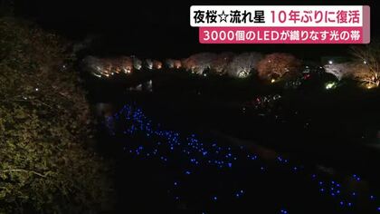 10年ぶりに復活”夜桜☆流れ星”　3000個のLEDが織りなす光の帯　川面を埋め尽くす