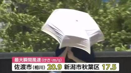 【新潟の天気】台風15号“熱帯低気圧”に変わるも風の強い状態続く　引き続き強風・高波に注意を