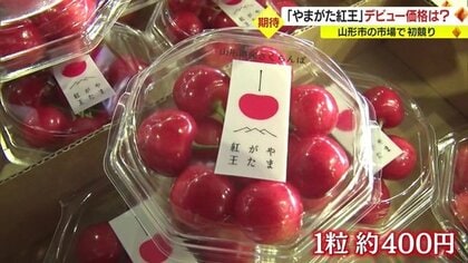 密着！ 新品種「やまがた紅王」デビュー 初競りから店頭に並ぶ