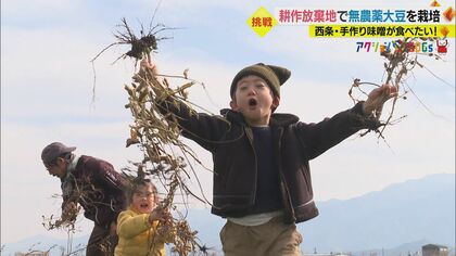 亡き祖父の土地に豆まき…「手間をかけずに無農薬」 大豆の収穫から挑む