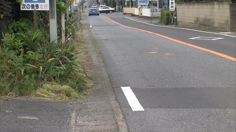 死亡ひき逃げ事件で26歳男を逮捕　飲酒運転か　横断歩道の84歳女性をはねて逃走　茨城・筑西市