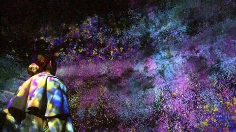 千葉・養老渓谷で夜の野外アート展　チームラボ 自然とデジタルの融合