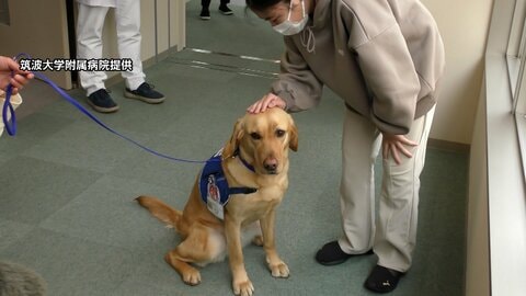 “入院患者に寄り添う”「ファシリティドッグ」導入へ筑波大学附属病院がクラファン　2027年度目指し国立大学病院で初