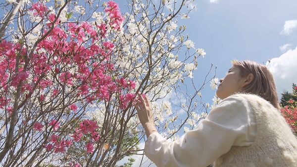 100種以上のツツジが彩る秘密の花園はデザイナーが見つけた“理想郷” 高知に移住し30年の歴史を引き継ぐ｜FNNプライムオンライン