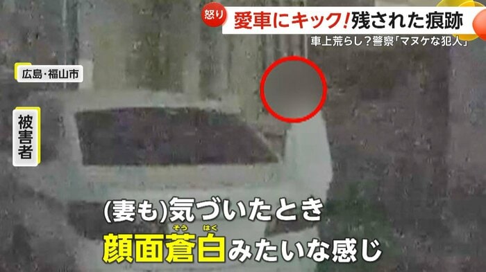(FNN投稿サイト「ビデオPost」)