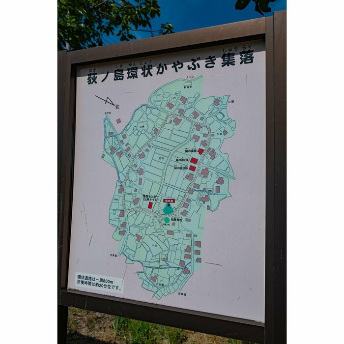 2025年8月撮影