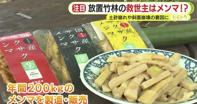 宮坂さんたちのメンマ