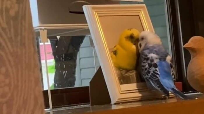 ぴっぴくんの写真の前で、話しかけるぽっぽくん