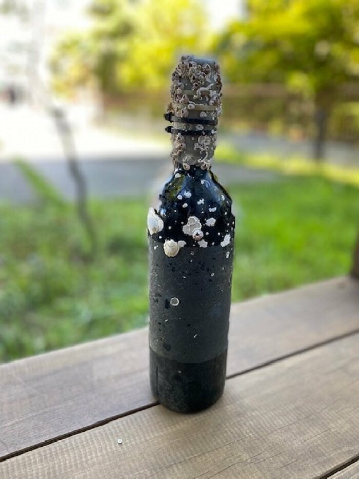 引き揚げられたビール(画像提供:東海大学海洋学部 合志明倫客員准教授)