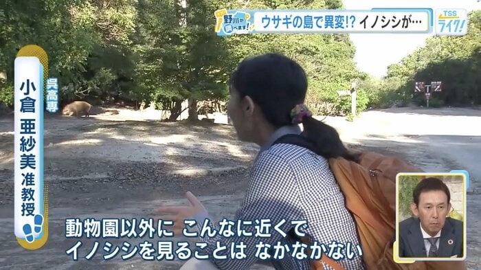 目の前のイノシシを警戒する小倉准教授