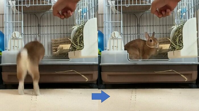 ハウスに入ってくれる