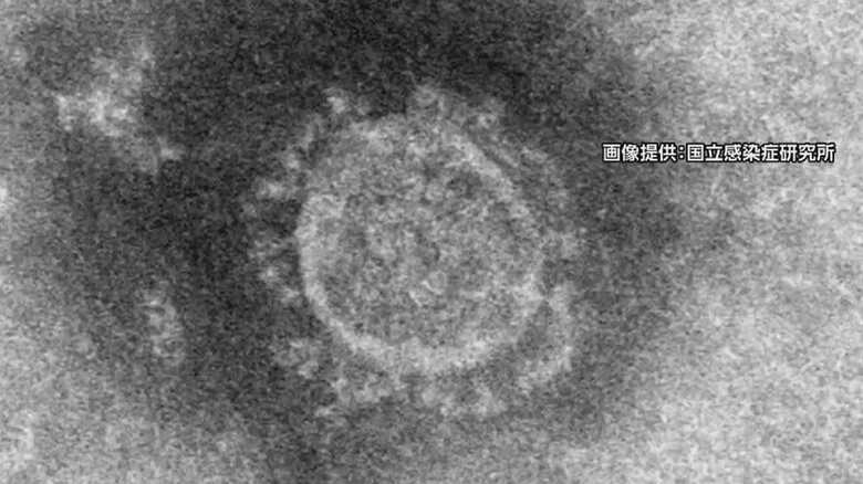 新型コロナウイルスには「2つの型」が…感染源や治療法 新たにわかってきた特徴は？