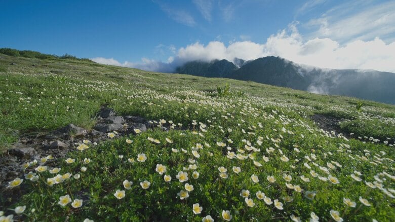 「雲上の楽園」五色ヶ原から越中沢岳へ、水が刻んだ絶景の旅　～北アルプス「ダイヤモンドルート」縦走記～ その2｜FNNプライムオンライン