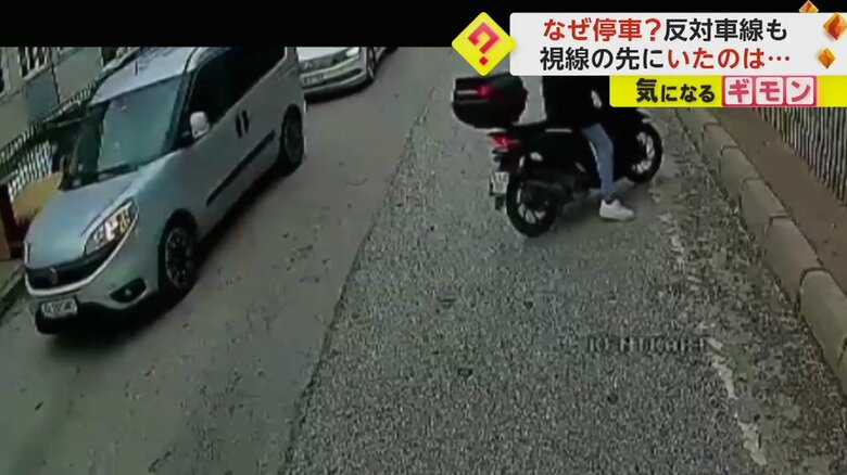バイクや反対車線の車も止まっている（IHA）
