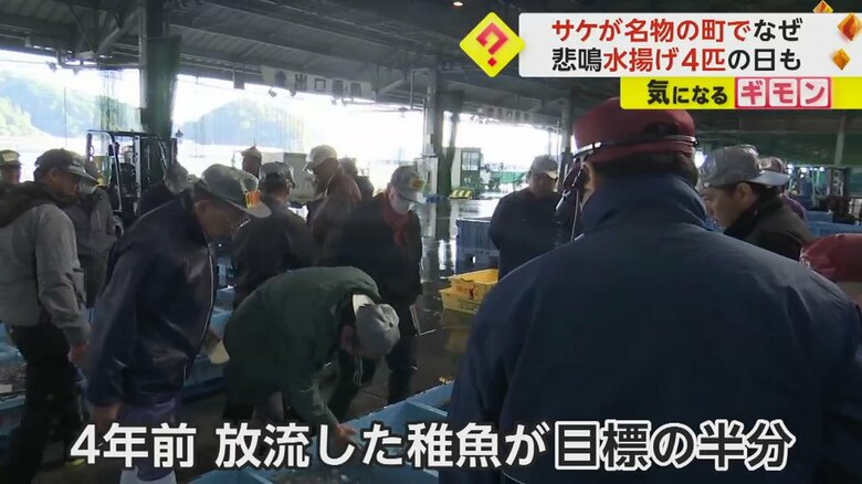 岩手県の宮古市魚市場に集まっている仲買人