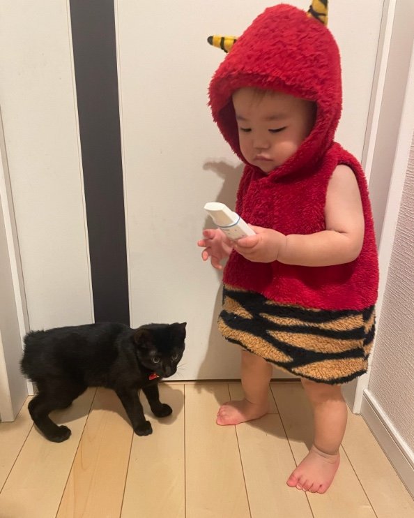 提供：ゴンゾウR4さん