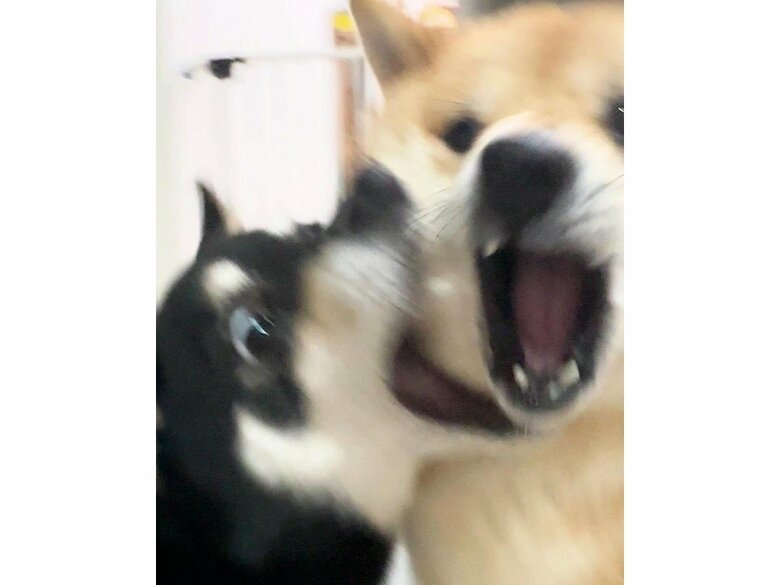 台風の影響はまだ続く…