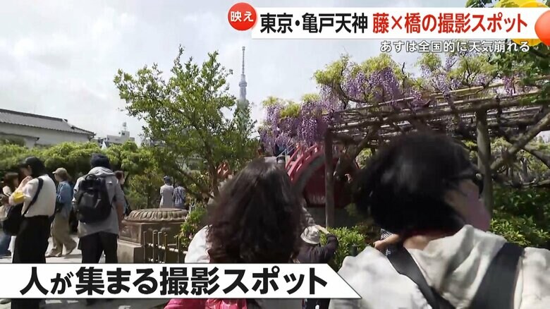 スカイツリーや赤い橋も写せる撮影スポット