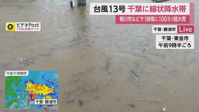 冠水してしまっている、千葉・東金市。木の枝などが浮いている（午前9時半ごろ）