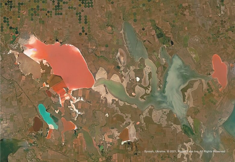 ウクライナの腐海（46.13594 , 33.91955）